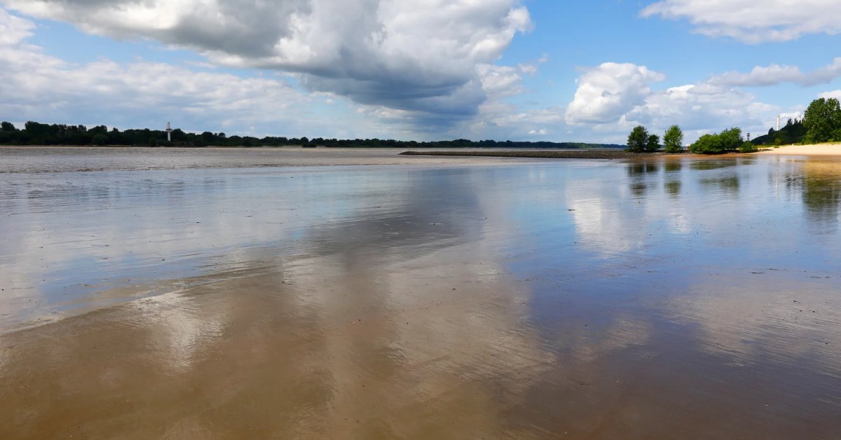 Elbstrand bei Niedrigwasser, Wolken spiegeln sich im nassen Sand